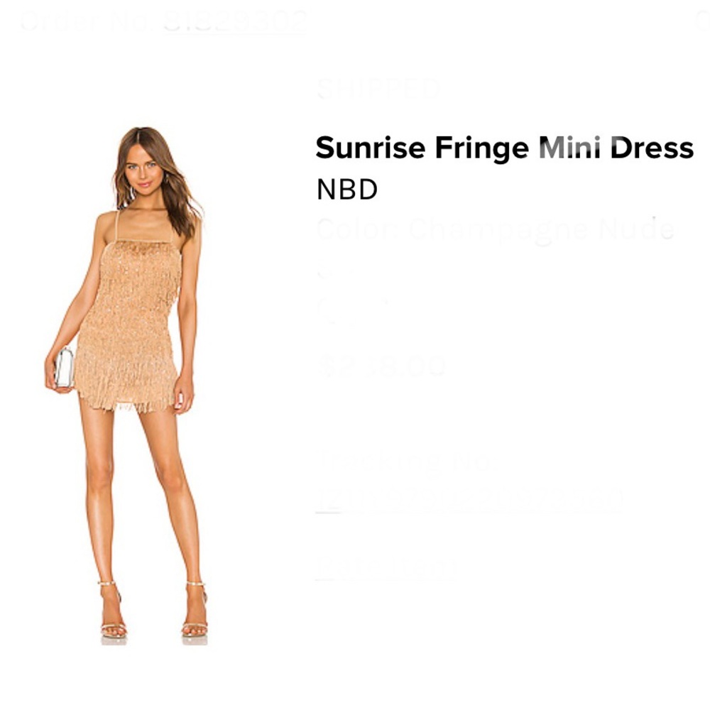 NWT Mini fringe dress